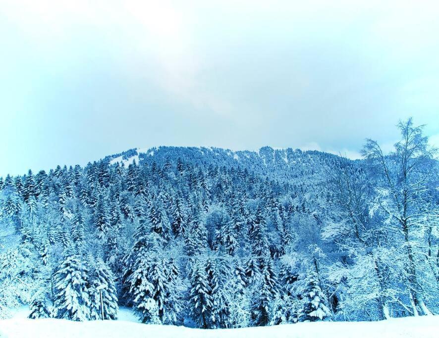 6 Pers Au Cœur Des Montagnes Pyrénéennes Appartement *