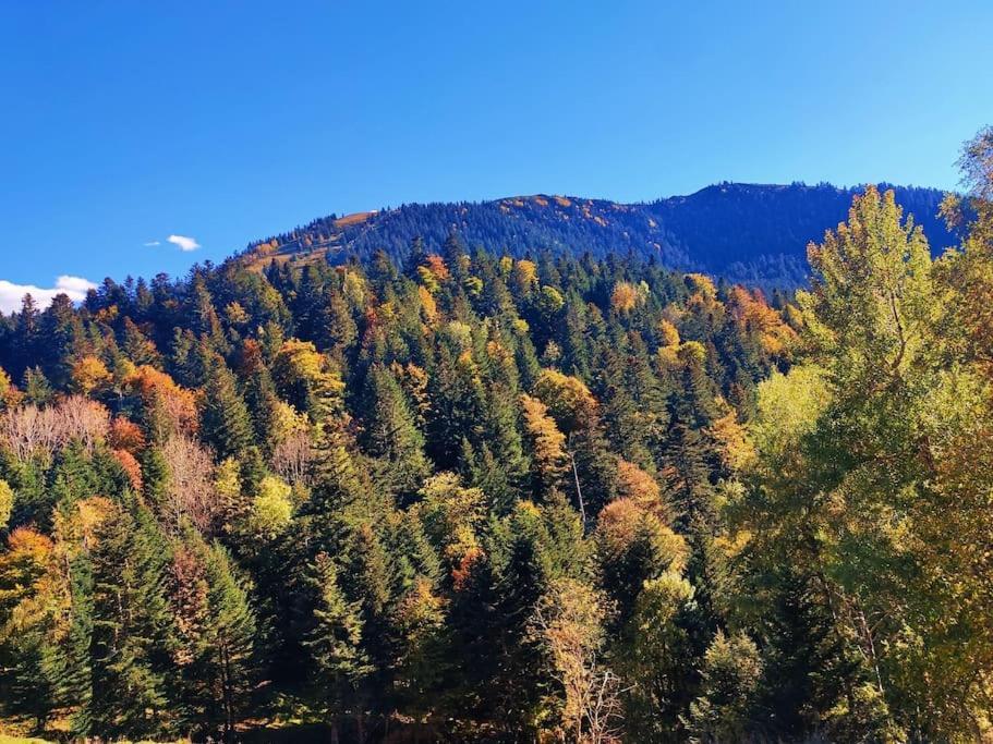 6 Pers Au Cœur Des Montagnes Pyrénéennes Appartement Boutx