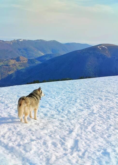 6 Pers Au Cœur Des Montagnes Pyrénéennes Appartement Boutx