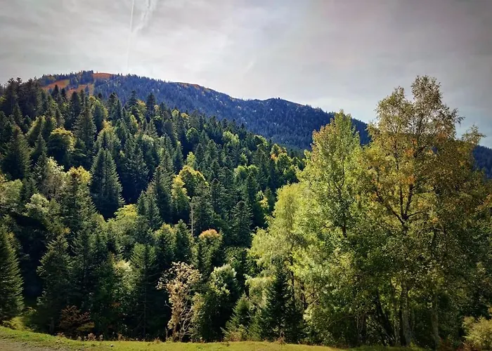 Logement 6 Pers Au Coeur Des Montagnes Pyreneennes Linge De Maison Et Papier Toilette Non Fournis