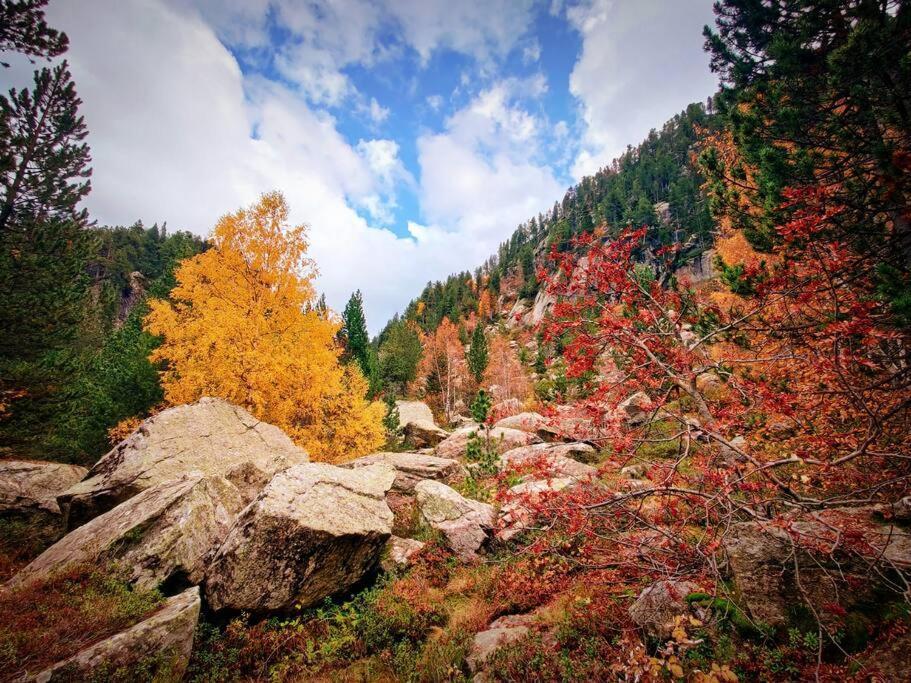 6 Pers Au Coeur Des Montagnes Pyreneennes
